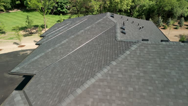 Best Solar Panel Roofing Installation  in Beech Island, SC